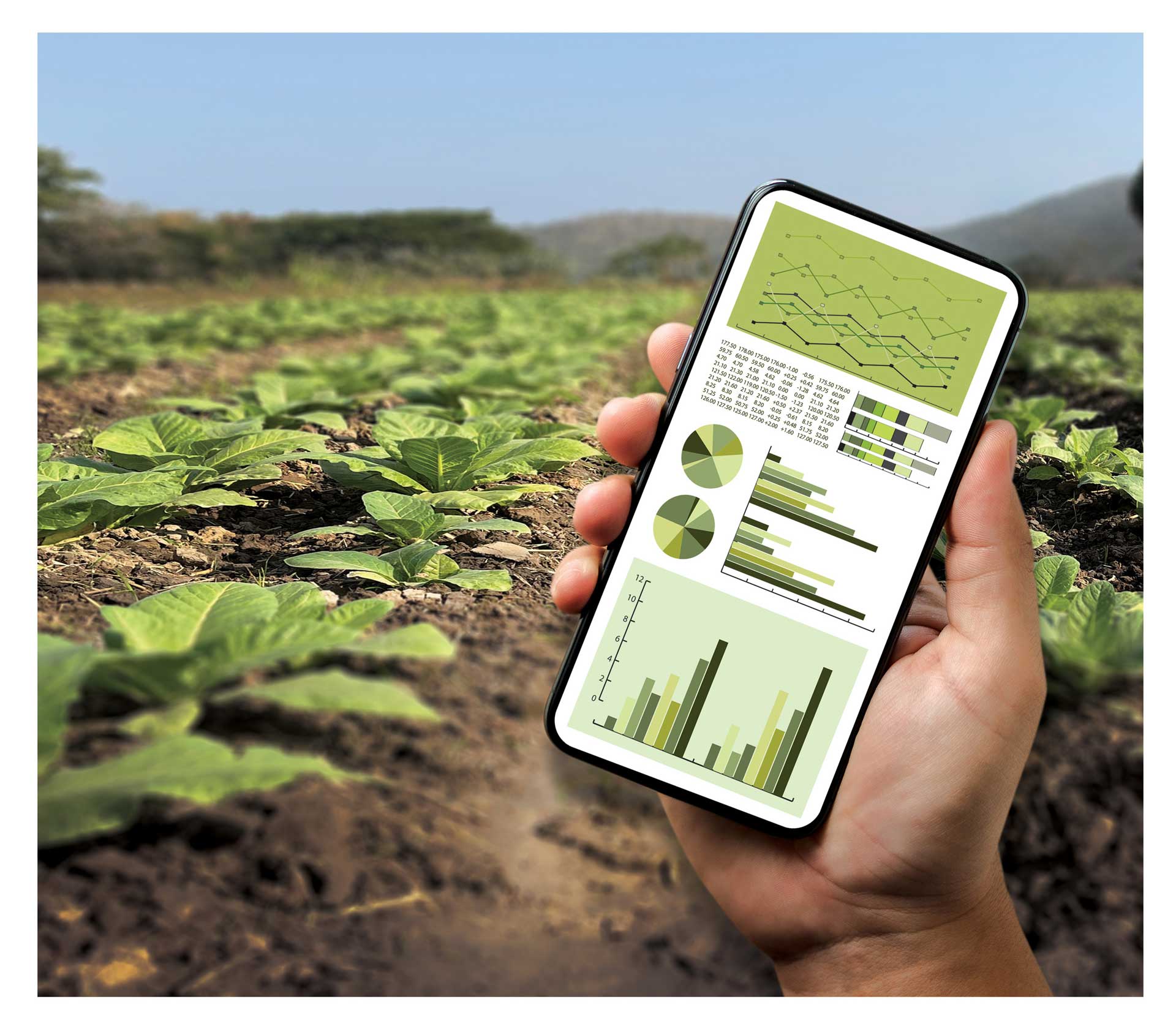 Agriculture & Greenhouses